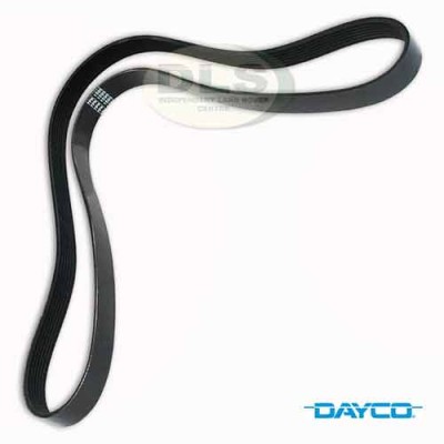 Ancillary Poly-vee Drive Belt - 300Tdi 1595mm OEM