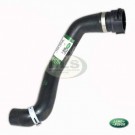 Cooling Radiator Top Hose 2.0Td4 Diesel Manual Genuine Land Rover Freelander 1 to VIN 2A999999 PCH118132
