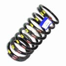 Drivers Side Rear Coil Spring Heavy-duty Red/Yellow/Green - Defender 90