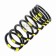 Coil Spring Standard Front Passenger Side Land Rover Defender 110 NRC8045